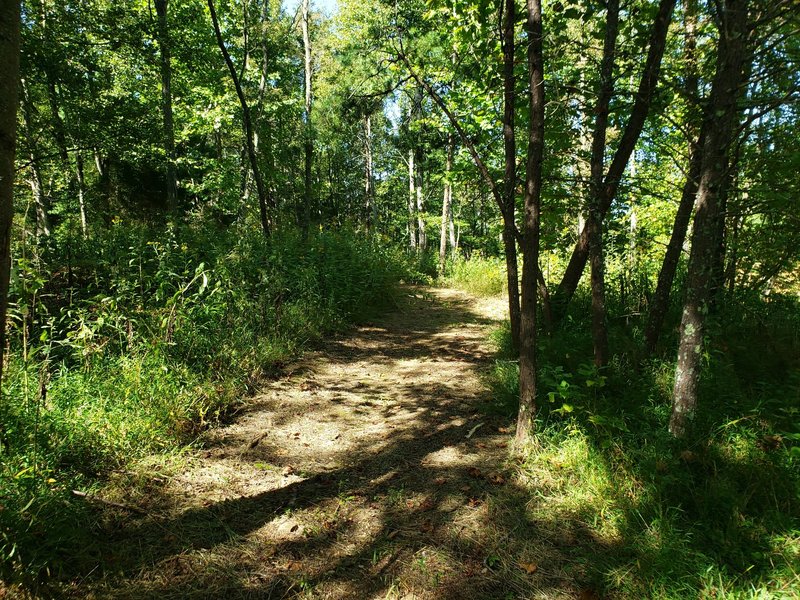 Easy doubletrack at the top