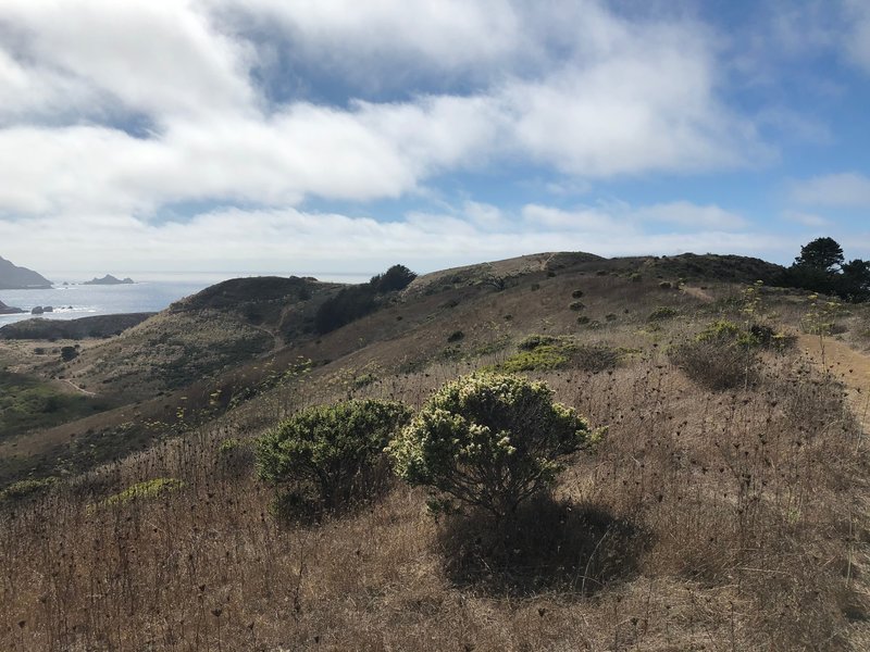 Mori Point Looking West