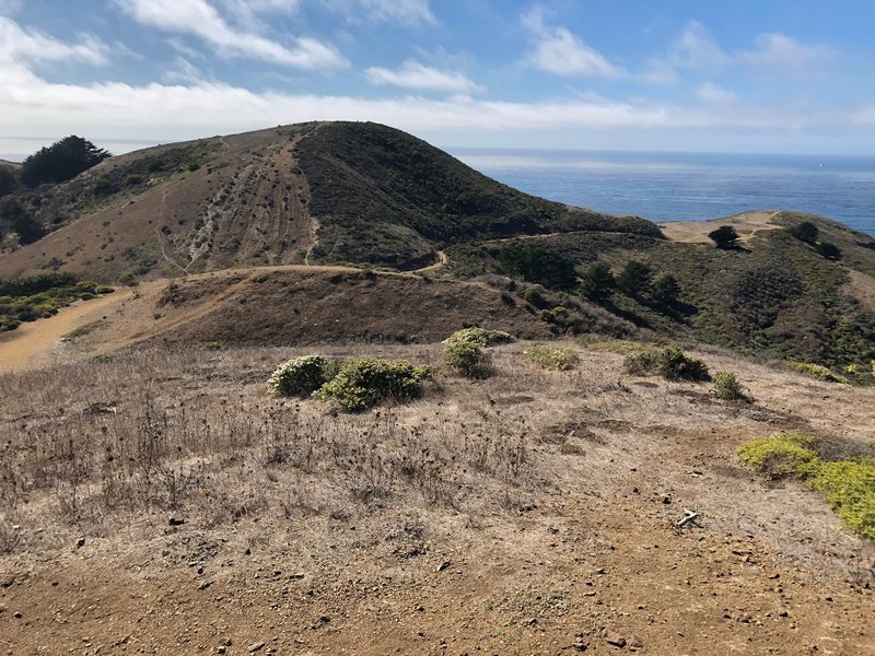 Mori Point looking West