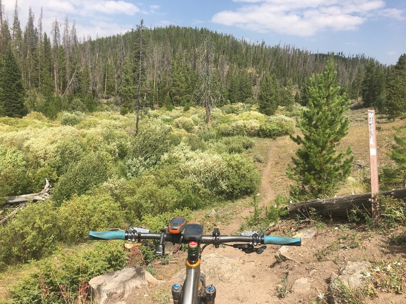 On the Tepee Creek singletrack connector between Tepee Creek and Forest Service Road 250.