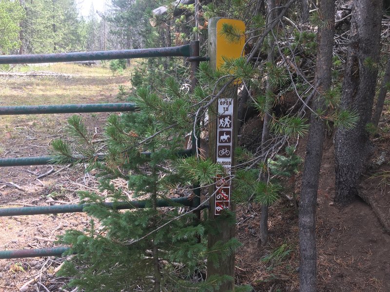 Sign on the gate indicates that trail #242 is open to hikers, bikers and equestrians