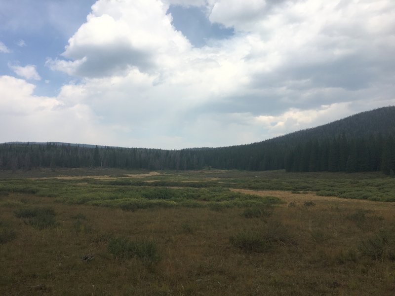 Wide open valley on bike trail #242