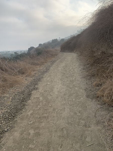 Trail going uphill from the parking lot off of Workman Mill Rd.