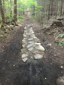 Ride on top of a stonewall!