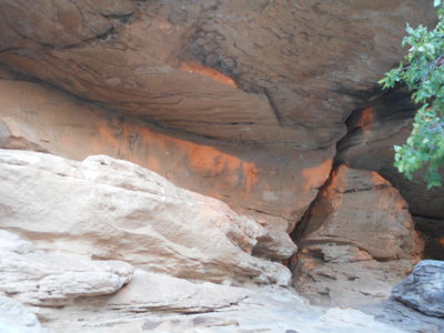 Bison pictograph near Crack Cave