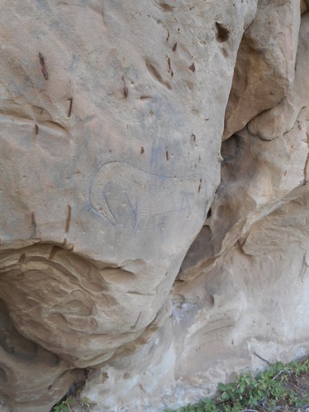 Horse pictograph in Picture Canyon