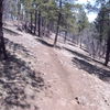 Riding on the Observatory Mesa Trail