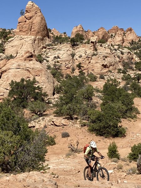 A technical bit along the Two Bridges trail.