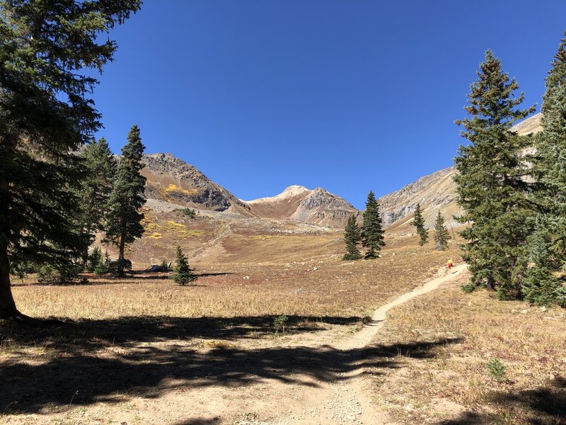 Trail from tree line up to the pass