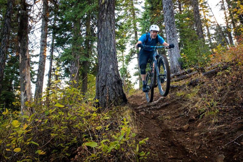 The Eagle Ridge Trail has more roots at the top than other trails in the area.