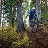 The Eagle Ridge Trail has more roots at the top than other trails in the area.