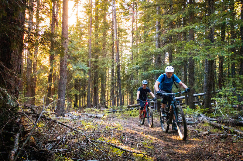 Aaron and Jeff pedal through the trees during a short rise along the descent.