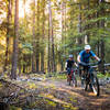 Aaron and Jeff pedal through the trees during a short rise along the descent.