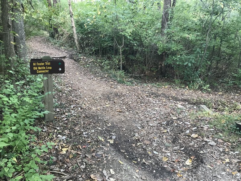 Accessing the trail from Al Foster.