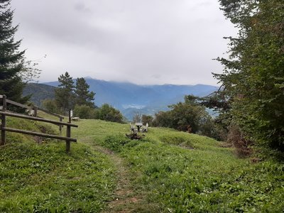The small meadow viewoint with bunker and trenches (First WorldWar) near start of MonteCreina SingleTrail
