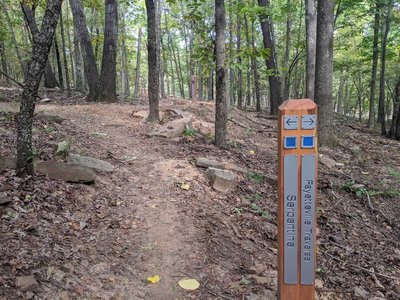 Serpentine - Traverse intersection