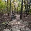 Rock Garden on Fayetteville Traverse/Kessler Mountain.