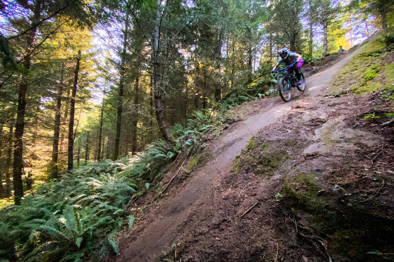 Michelle powers down Spirit Bear on Galbraith Mountain.