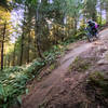 Michelle powers down Spirit Bear on Galbraith Mountain.