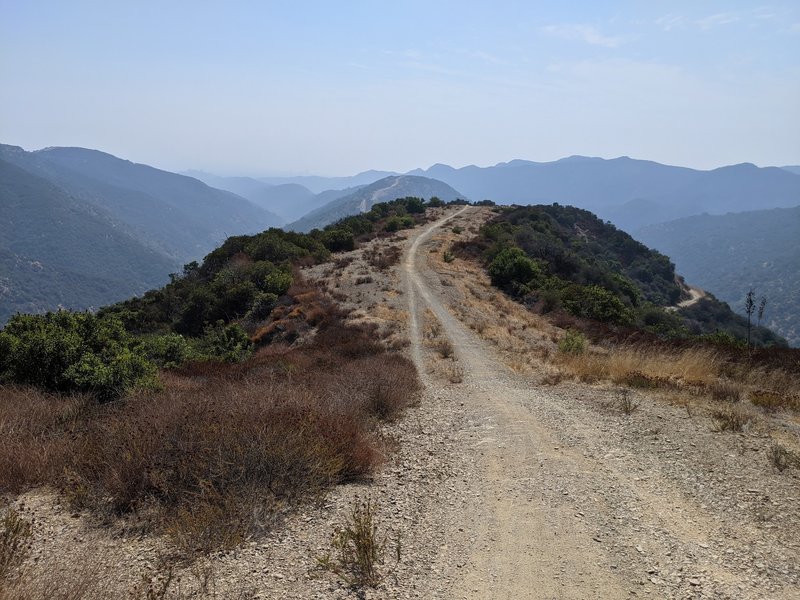 Sullivan Ridge Trail, facing South.