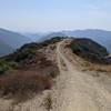 Sullivan Ridge Trail, facing South.