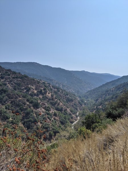 View down Sullivan Canyon from the top.