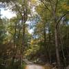 Lower Section on Big Mountain Rd.