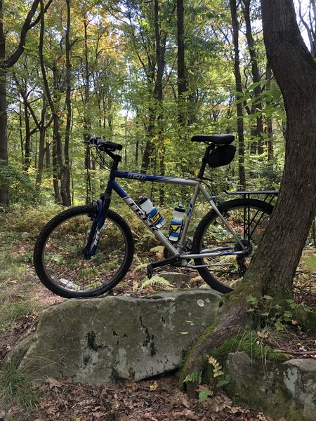 Fall ride