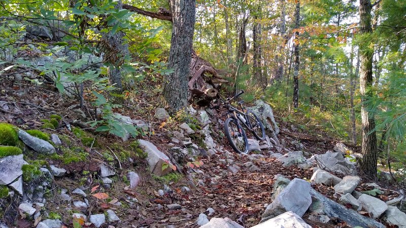 Rock garden on Paint Creek Trail.