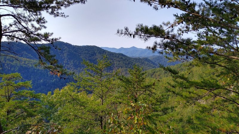 Scenic view from a rocky outcrop on Paint Creek Trail.