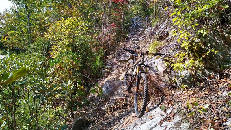 Rocky narrow descent along the ridge on Paint Creek Trail.