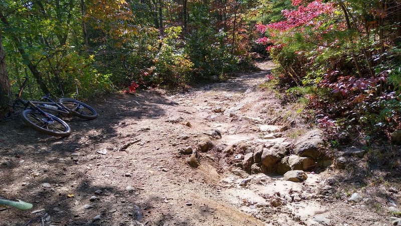 Typical surface condition of Shad Road.