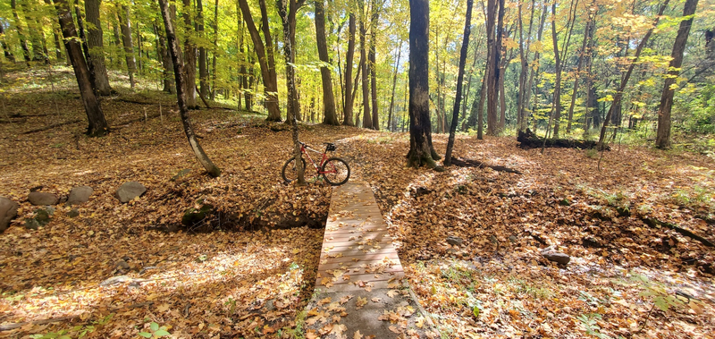 Fall in Minnesota (first weekend in October 2020).