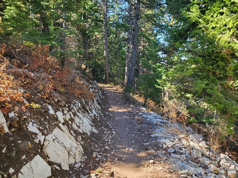 Trail Cuts through bands of rocks, but is not too challenging.