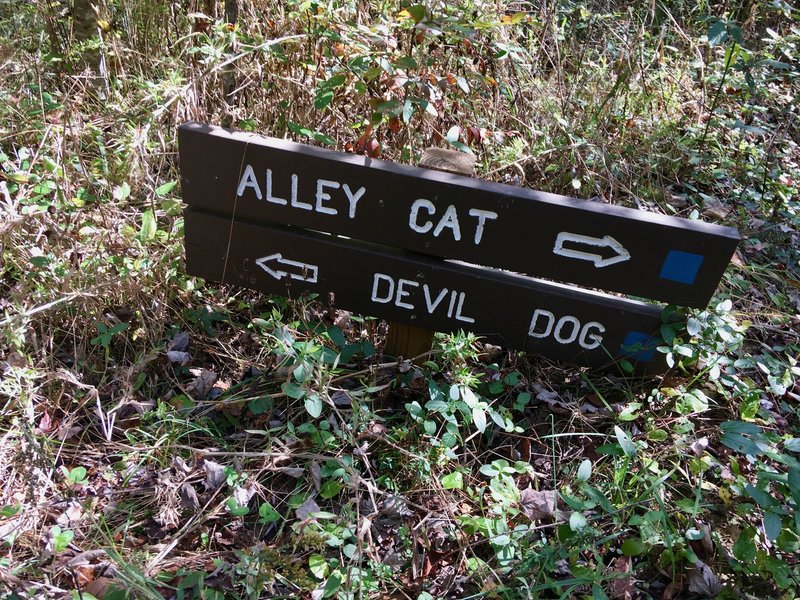Trail sign at intersection of Alley Cat and Devil Dog.
