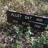 Trail sign at intersection of Alley Cat and Devil Dog.