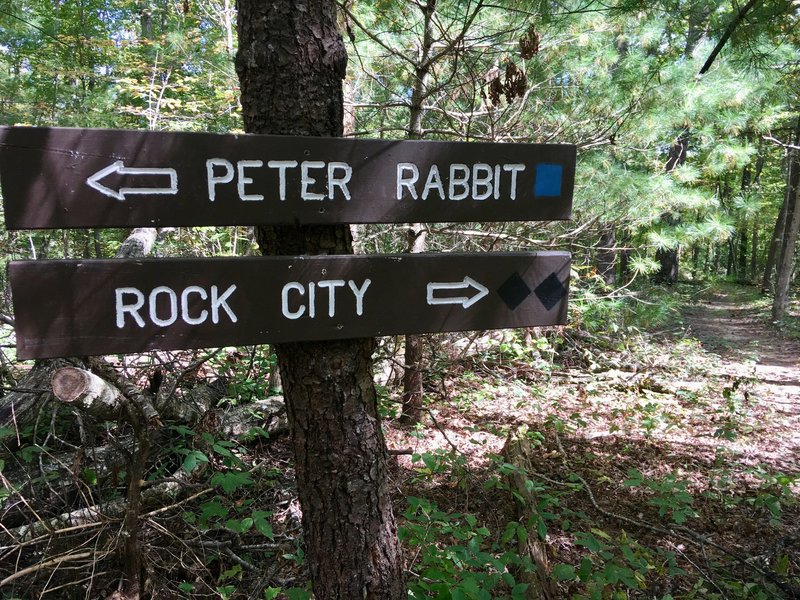 Trail sign at the intersection of Devil Dog, Peter Rabbit, and Rock City.