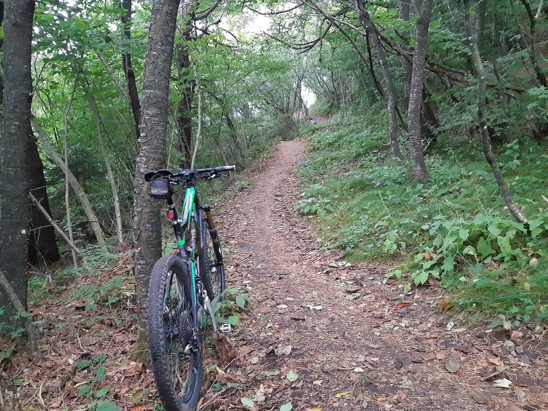 The flowing start of MonteCreina Upper Singletrack.