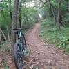 The flowing start of MonteCreina Upper Singletrack.