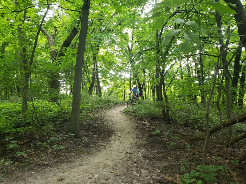 Approach to Wooden Corkscrew features.