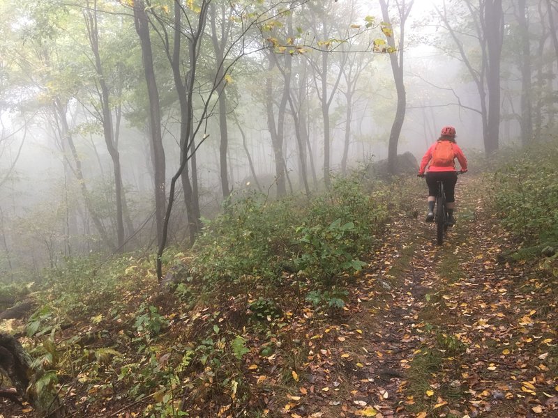 Misty day on Sugarloaf