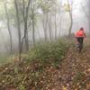 Misty day on Sugarloaf