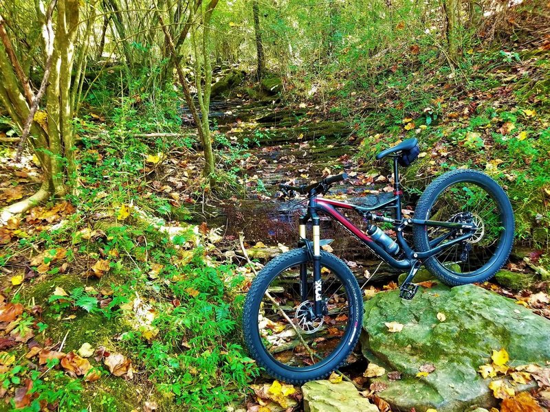 Duck River Trail