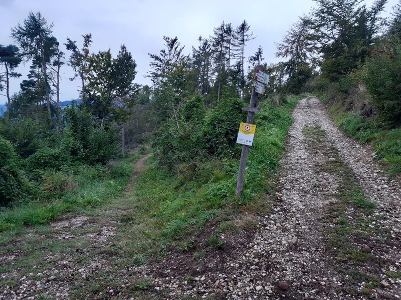 To reach the Creino-Trails take the left track downwards.