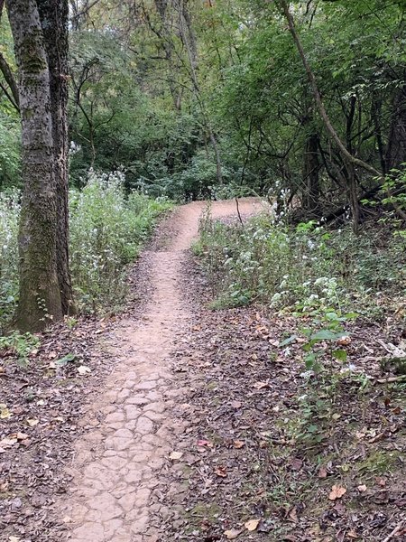 Well-ridden trails make for fun riding!