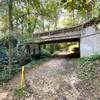 Bridge over the trail