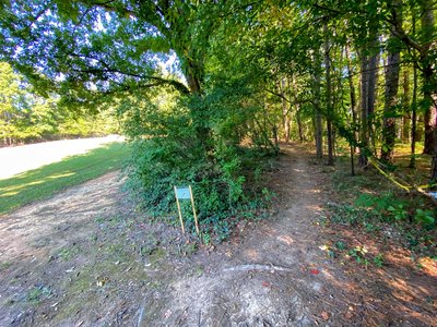 Where Hillbilly Holler enters the forest