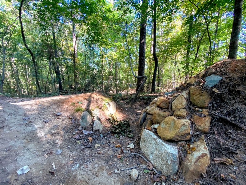 A worm's eye view of one of the jumps