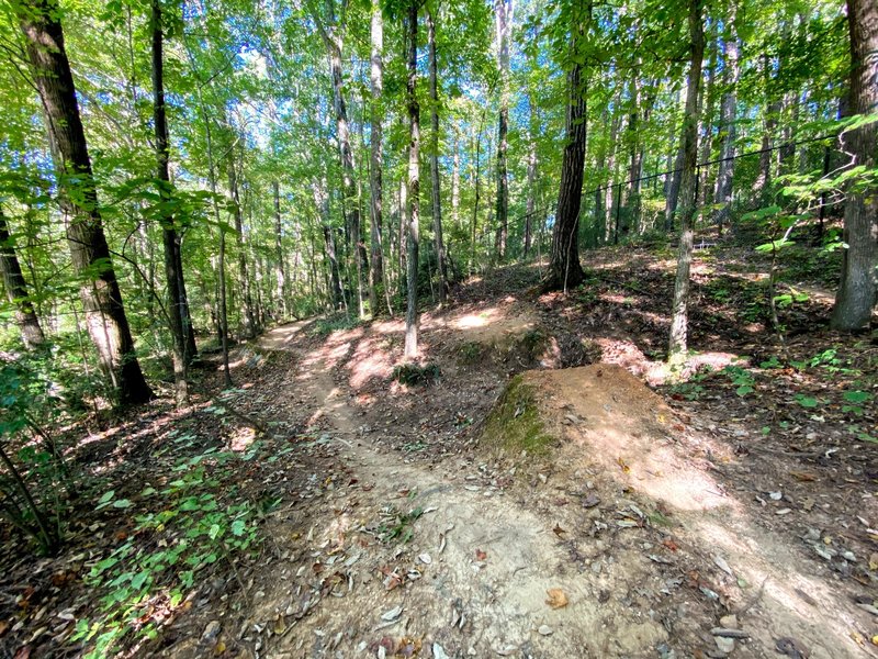 Giant gap jump on the trail