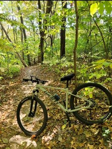 love that Trail